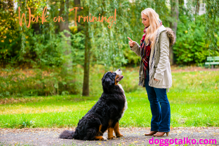 image of a woman and black and brown dog sitting down with text overlay that says Time for Training