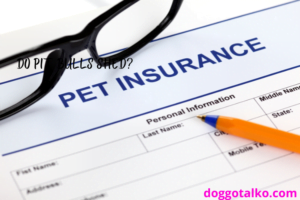 image of a pet insurance application