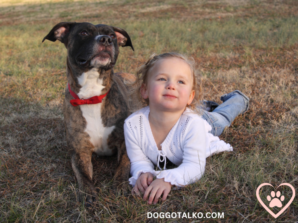 Are Pit Bulls Jealous of Babies / image of a black/brown/white pit bull sitting in a field with a little girl lying next to it